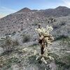 desertliving_